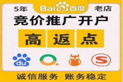 探索百度推广托管的奥秘：成功案例揭秘